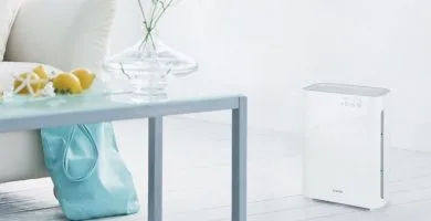 Ionización klarstein Vita Pure 2G